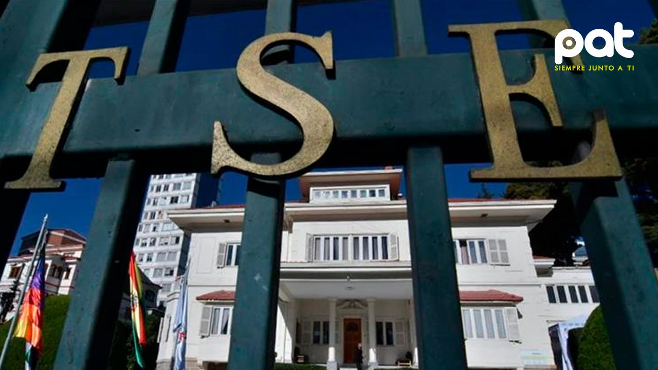 TSE pide a jueces constitucionales respetar su competencia en el proceso electoral 2025