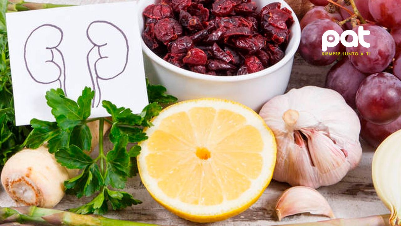 Cuidar los riñones es vital: estos alimentos pueden dañarlos y estos otros ayudan a protegerlos
