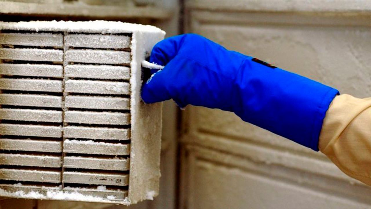 Investigación de dos décadas arruinada por empleado de limpieza que desconectó un refrigerador