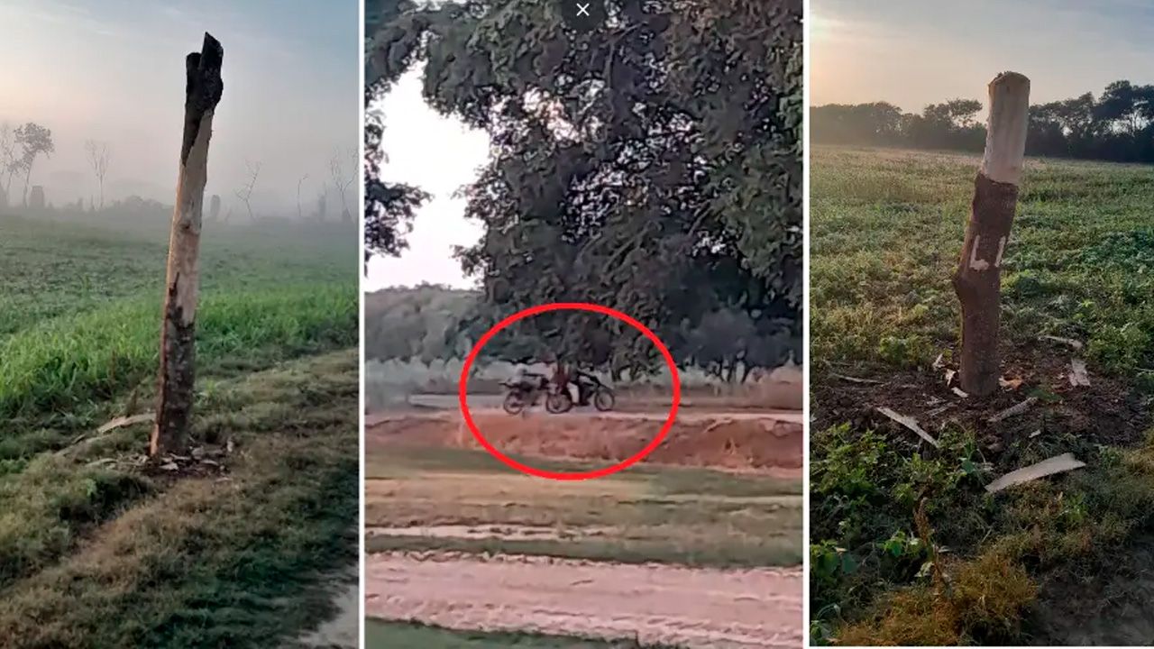 Anapo denuncia inacción del Gobierno frente a nuevos avasallamientos en Pozo del Tigre