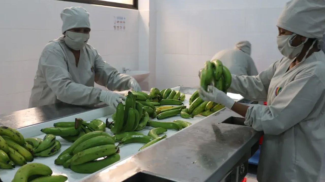 Bolivia acumula un déficit comercial superior a $us 570 millones hasta abril de 2025, según el INE
