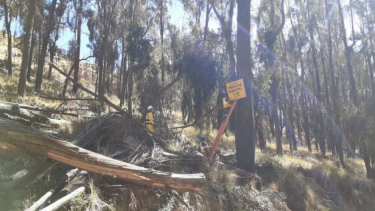 La Paz: Dos mujeres y un varón fueron encontrados sin vida en los últimos tres días