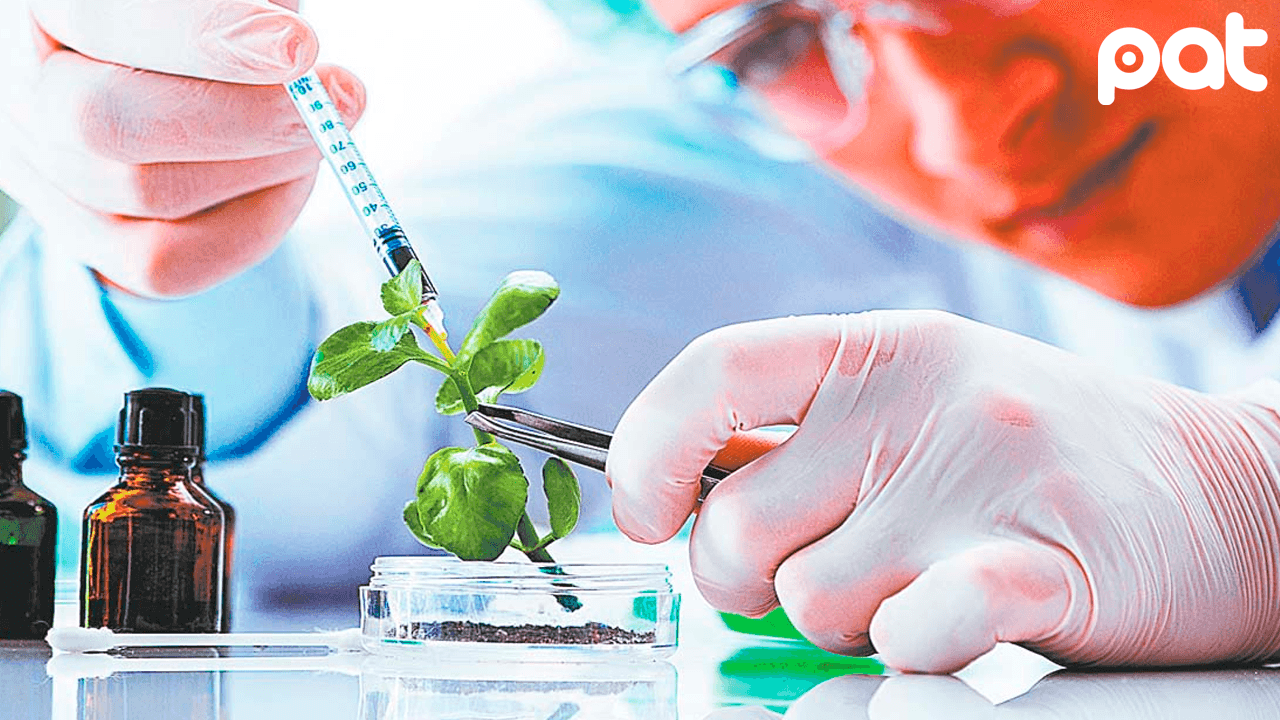 Gobierno analiza ley para regular uso de biotecnología