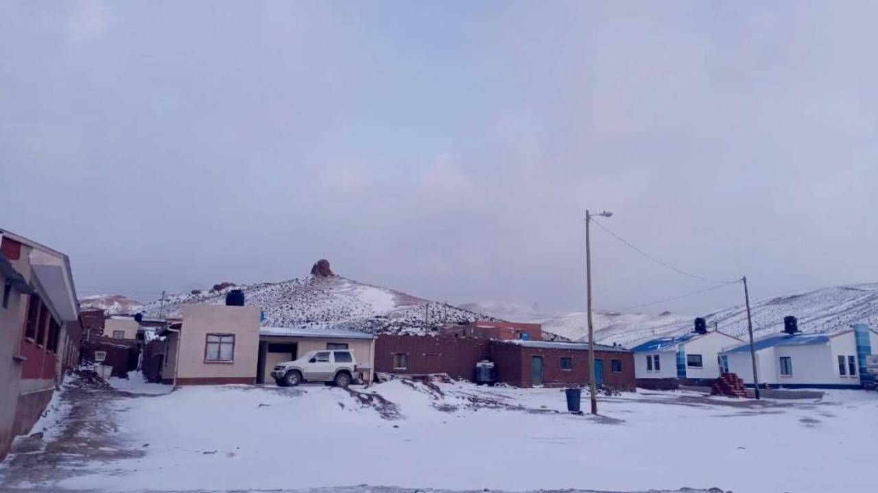 Nevadas provocan muerte de llamas en Potosí y las heladas dañan cultivos en Tarija y Chuquisaca