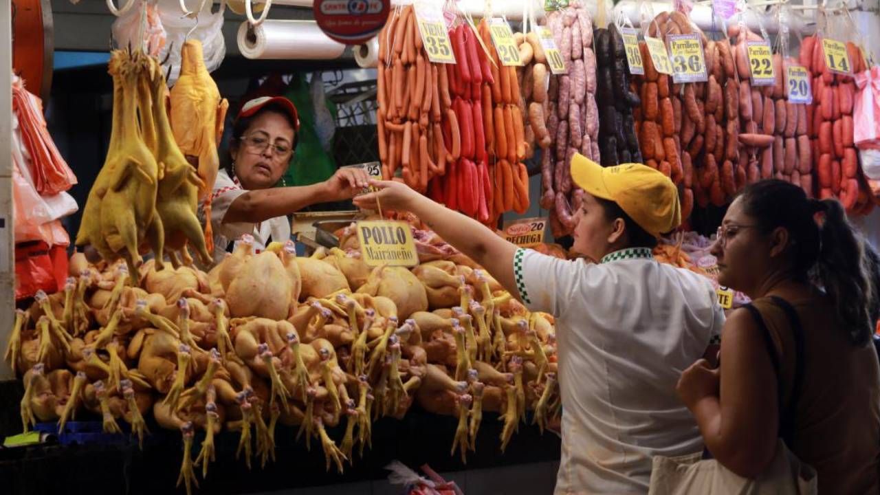 Baja el precio del pollo en Cochabamba y lleva alivio a los hogares