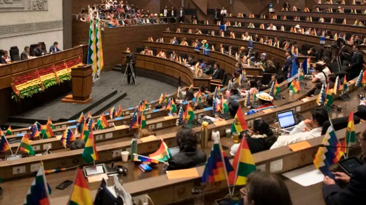 ALP debate crédito del BID y anulación de leyes sobre desmonte