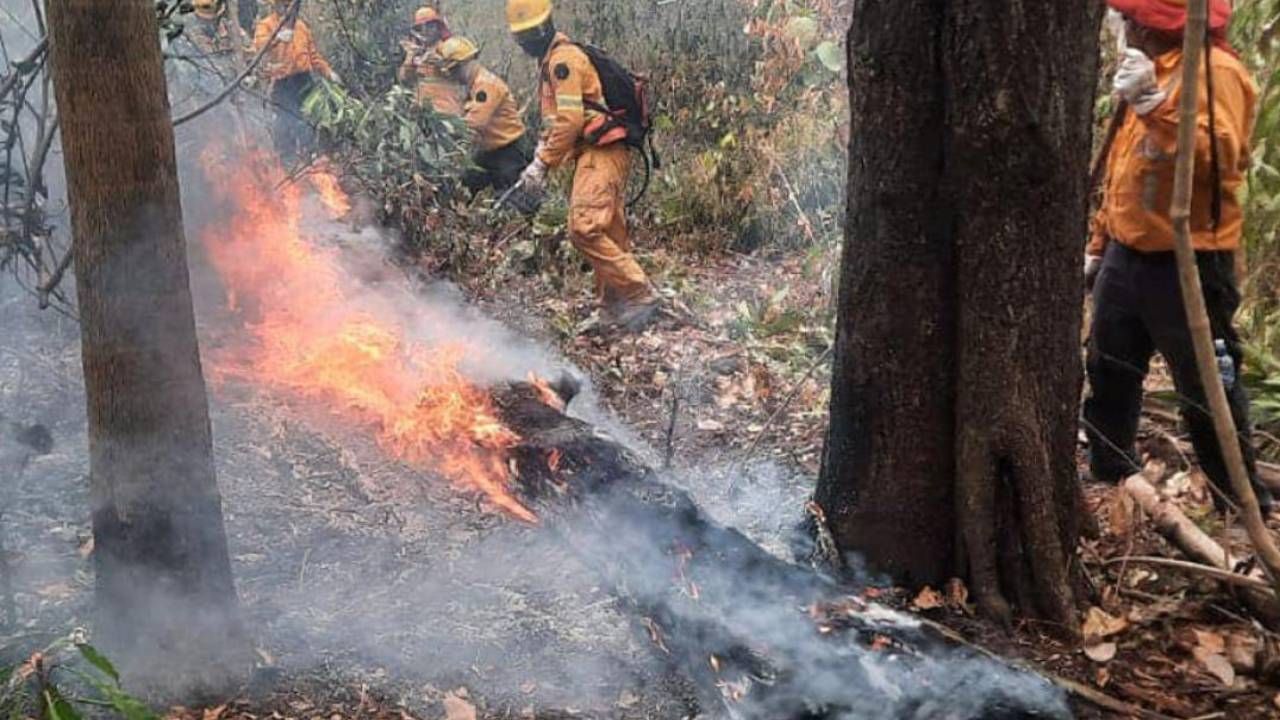 Gobierno contabiliza 17 incendios activos en Santa Cruz