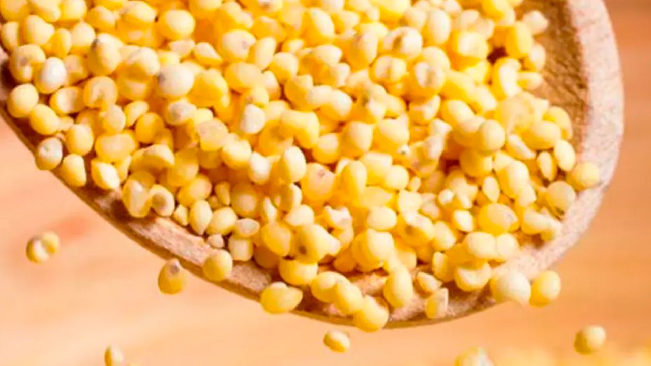 Falta de diésel frena distribución de alimento para el ganado y preocupa a productores