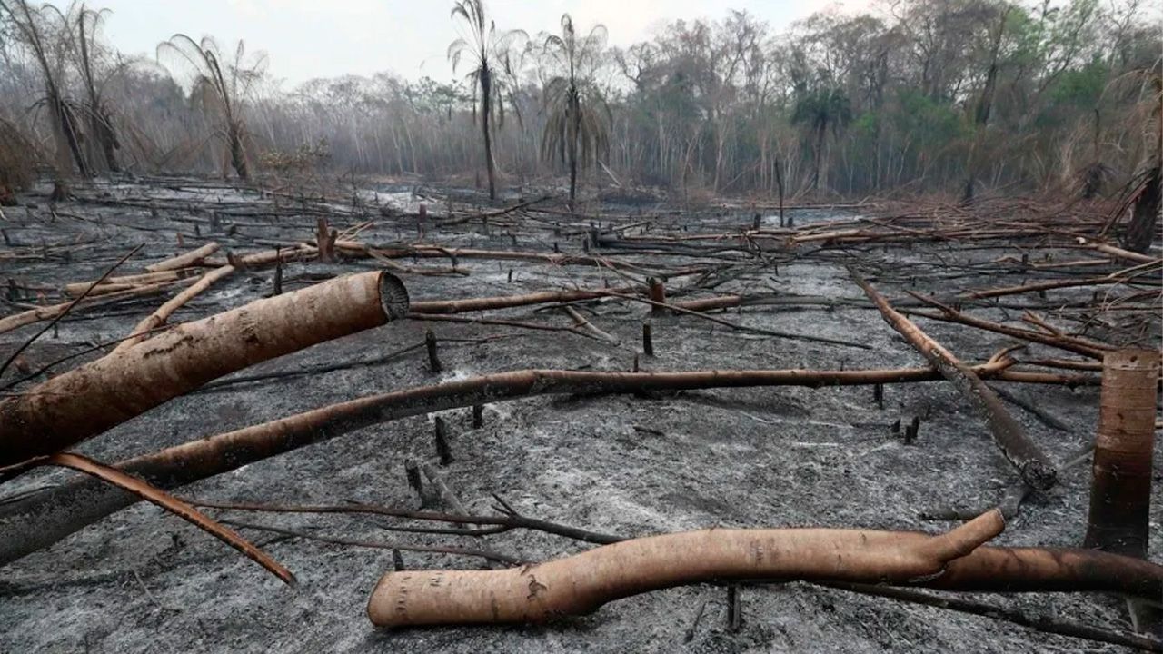 Alertan condiciones extremas que  podrían desatar incendios en la  chiquitania