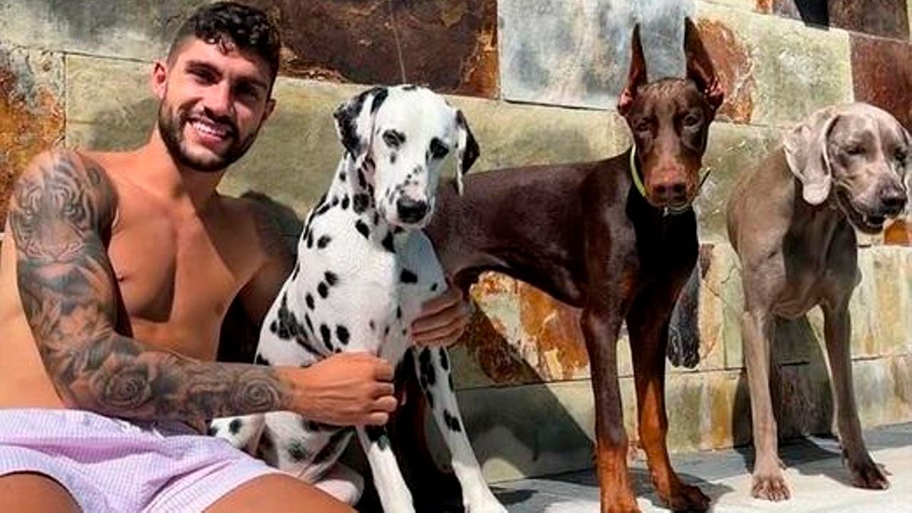 Carles Pérez, ingresado en el hospital  tras sufrir un mordisco de un perro  en los genitales