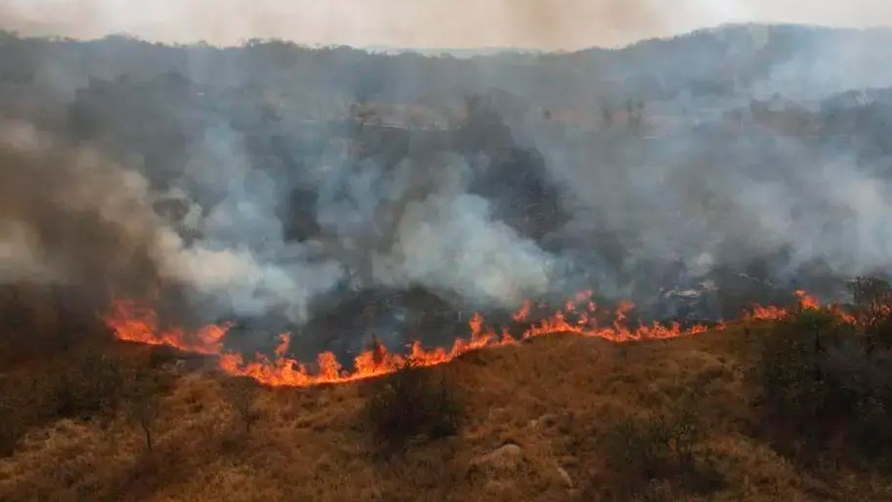 Bolivia enfrenta momento crítico con 4.160 focos de calor reportados