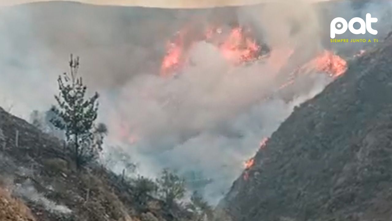 Gobierno despliega operativo con helicóptero y más de 100 bomberos para combatir incendio en Tarija