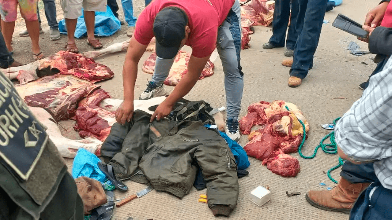 Seis aprehendidos por abigeato en colonia menonita de Santa Cruz 