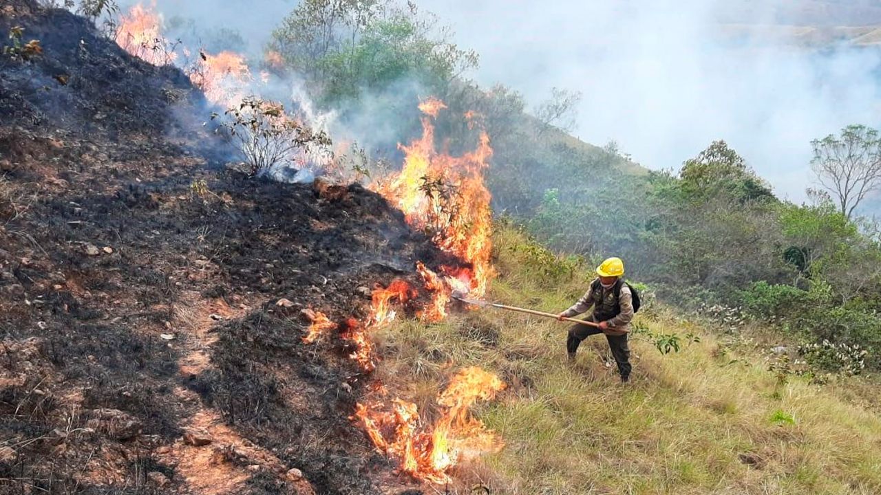 Arce afirma que incendios afectan principalmente pastizales de grandes empresarios y no pequeños productores