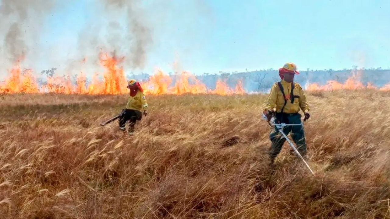 Tribunal Agroambiental ordena coordinación nacional contra incendios