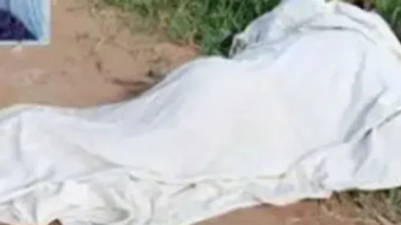 Tarija: Una mujer muere aplastada por la caída de un árbol