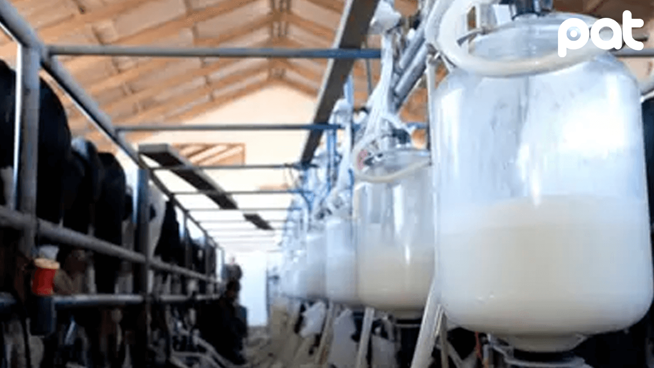 Fedeple se declara en emergencia y advierte con desabastecimiento de leche a nivel nacional