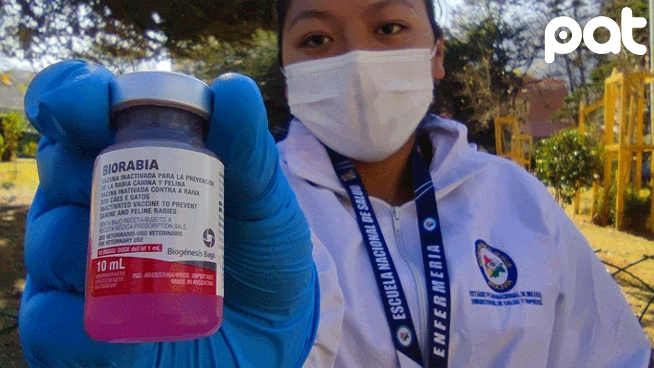 Inicia vacunación antirrábica obligatoria en Sucre con 700 brigadas
