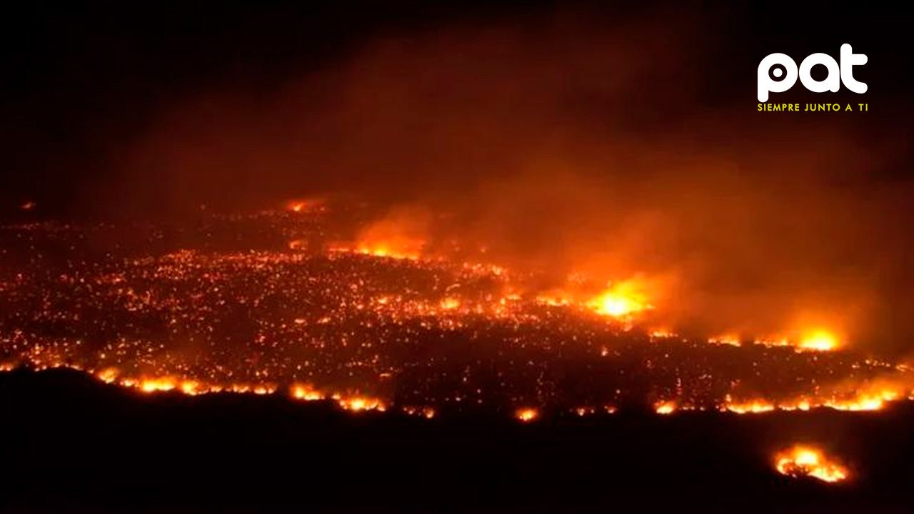 Declaran desastre por incendios en Ñembi Guasu, Chaco boliviano