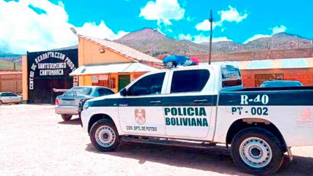 Potosí registra entre dos y tres detenciones diarias por delitos s3xu4l3s