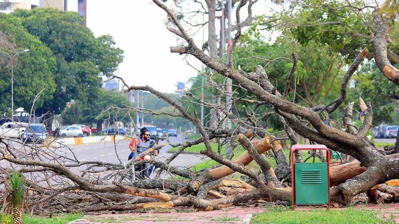 Senamhi activa alerta naranja debido a los fuertes vientos