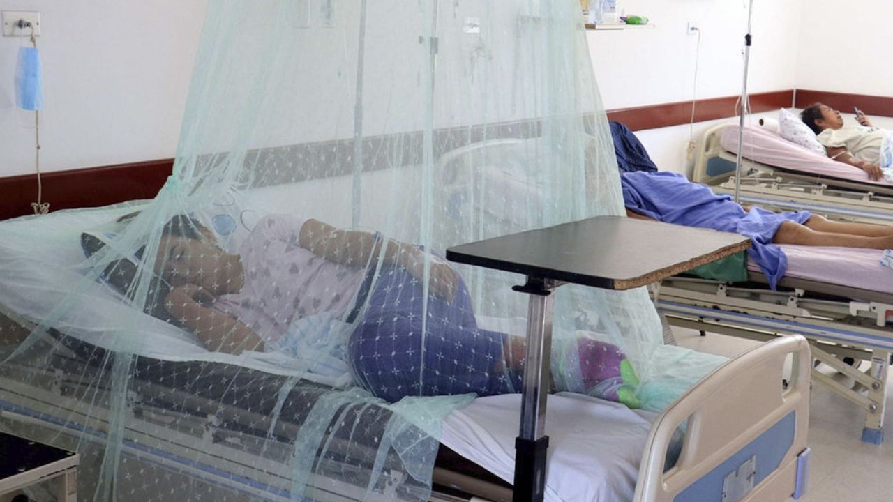 Santa Cruz reporta un descenso de casos de dengue que va de 263 a 81 por día