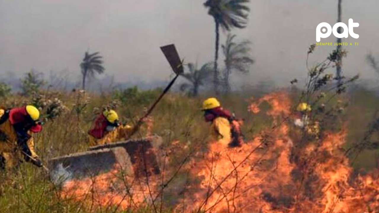 Ocho incendios activos en Santa Cruz; preparan intervención aérea en área protegida de Concepción