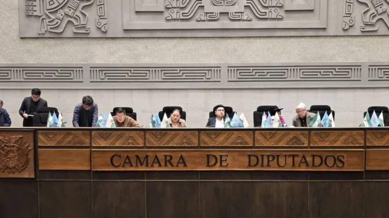 Legislativo boliviano repudia palabras “racistas” de parlamentaria chilena y exige una disculpa