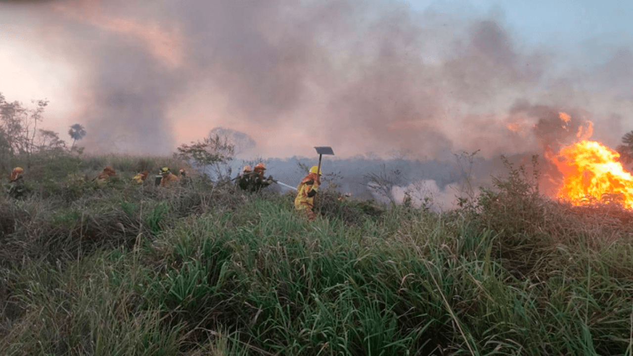 Gobierno identifica 47 municipios de alto riesgo de incendios forestales 