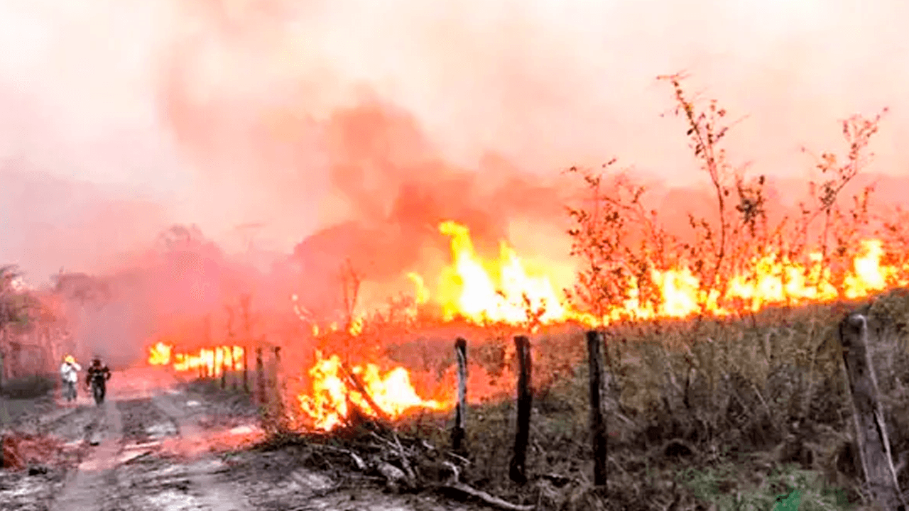Gobierno reporta cinco incendios forestales en Santa Cruz 