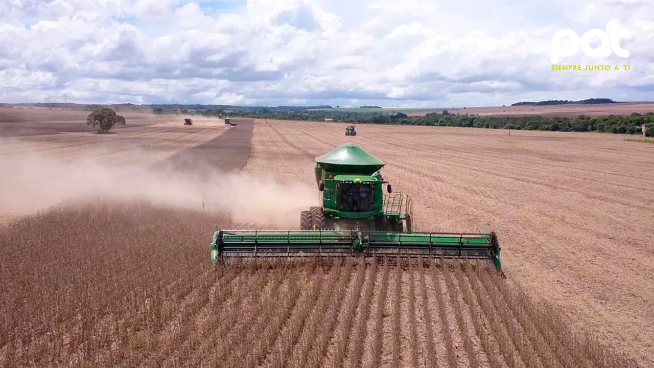 Campaña de invierno: agro recibió 52 millones de litros de diésel y restan 18 millones por entregar