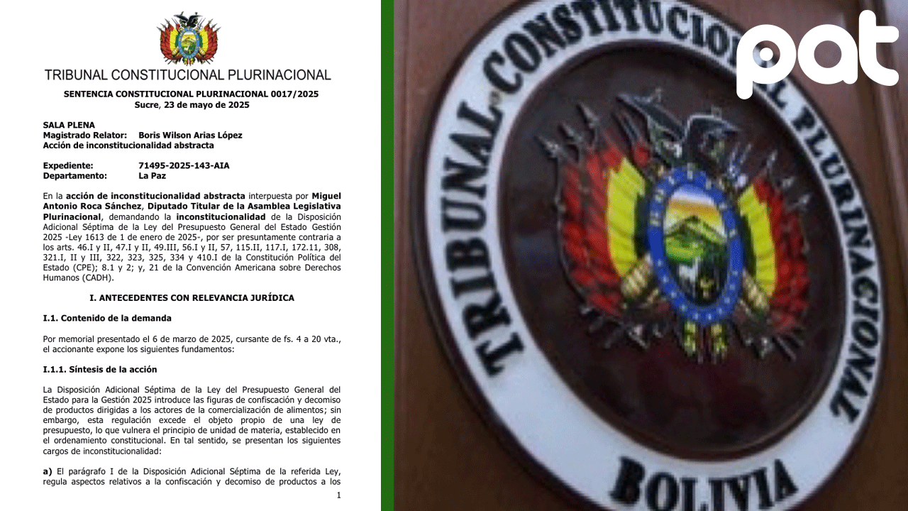 Sentencia Constitucional 0017/2025 anula disposición de Ley 1613