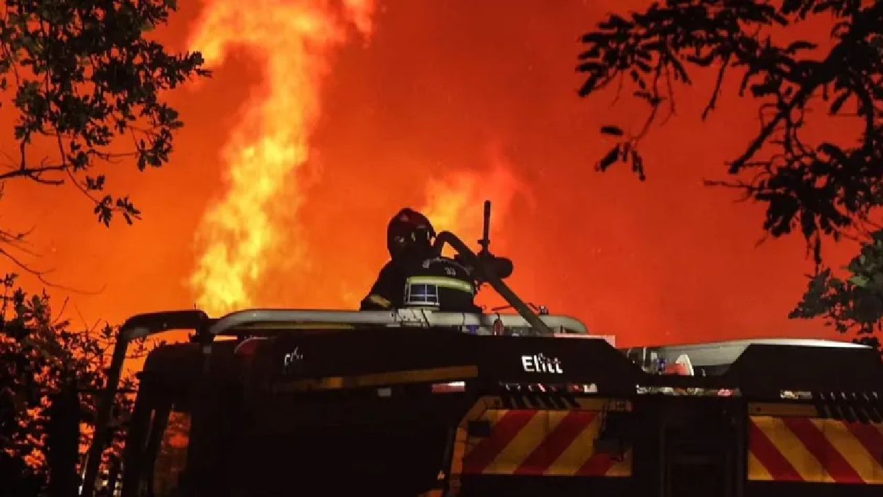 Ola de calor e incendios en el Mediterráneo, ocasiona al menos 35 muertos entre Italia, Grecia y Argelia