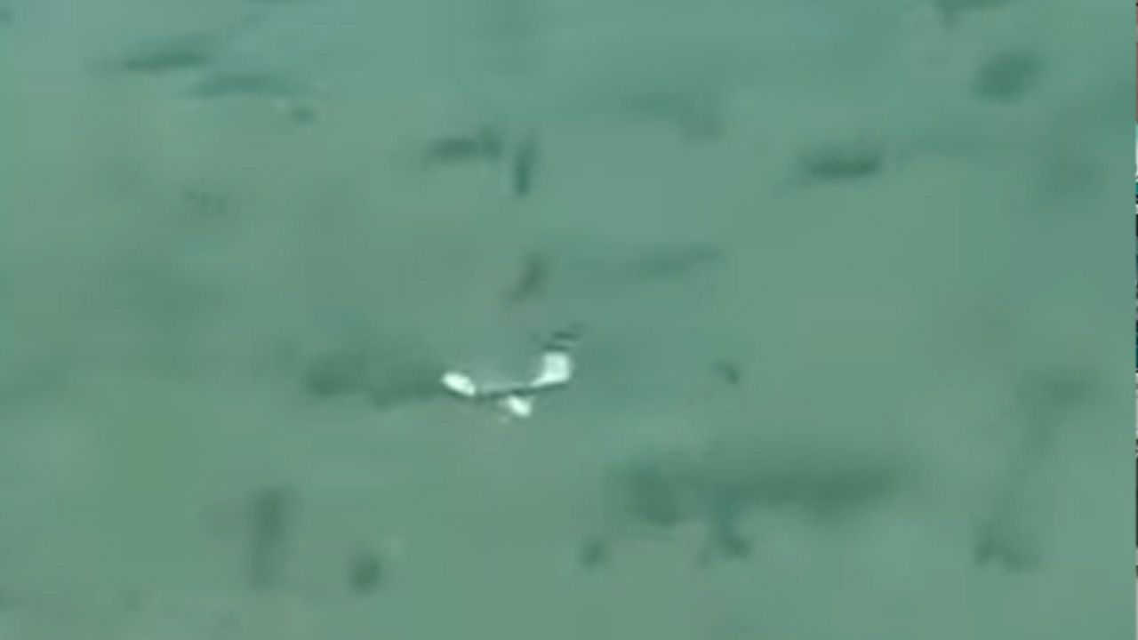 Hallan restos de avioneta desaparecida tras choque aéreo en el Beni