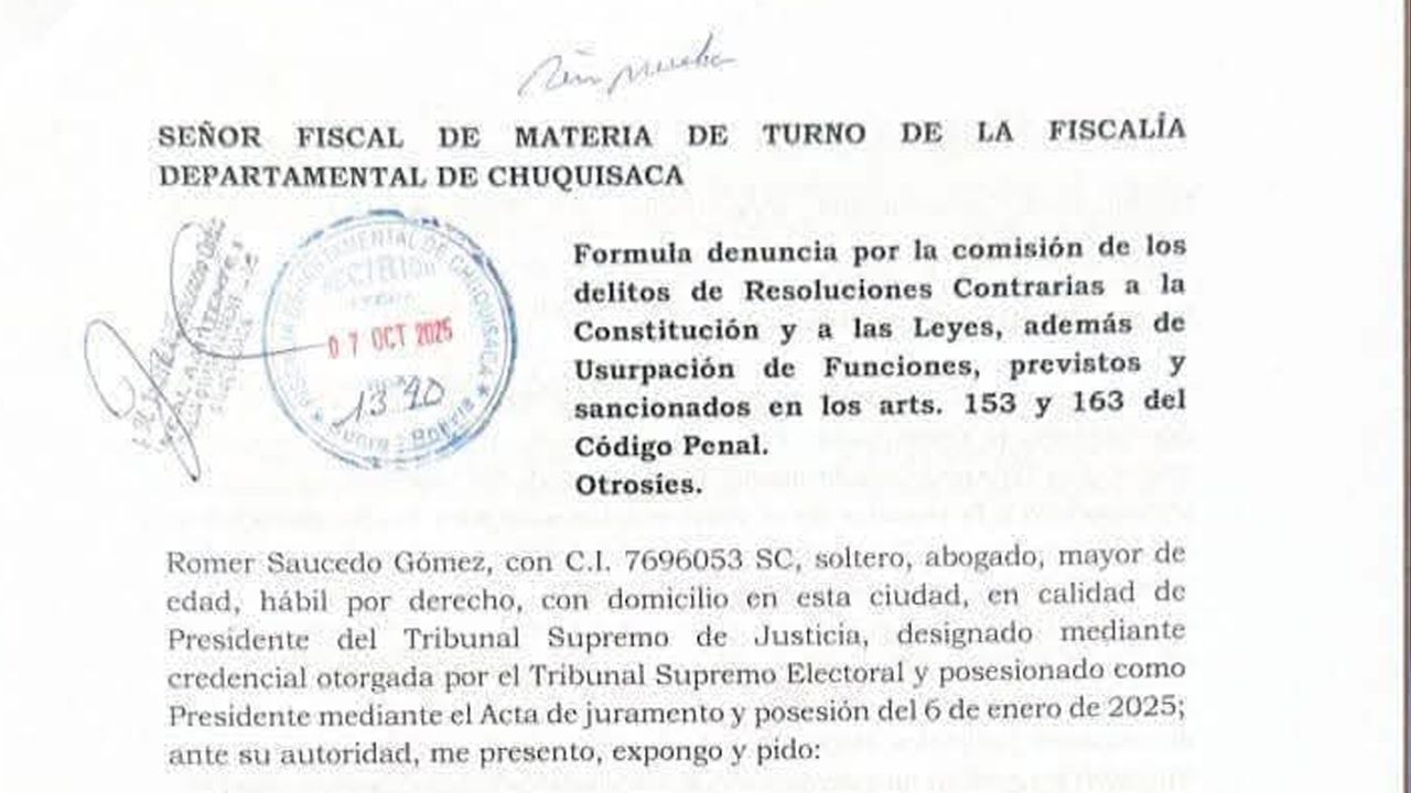 Presidente del TSJ presenta denuncia  penal contra magistrados  autoprorrogados