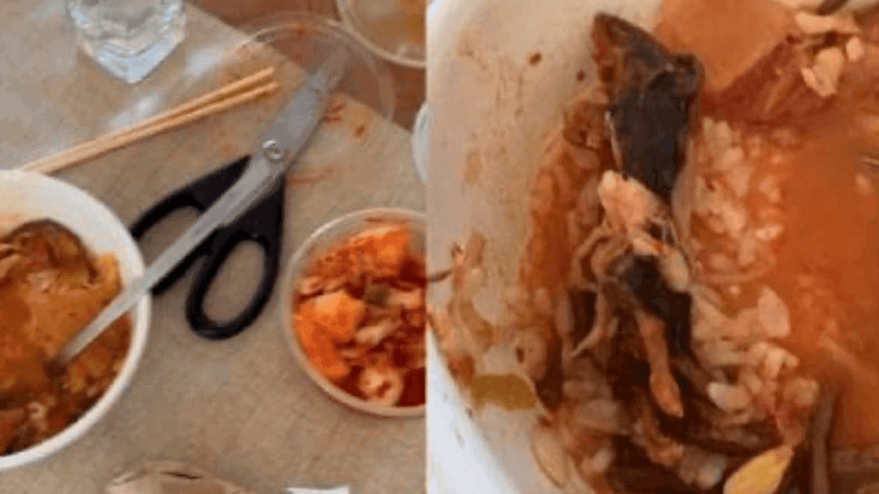 Pareja encuentra un roedor en la sopa de un conocido restaurante de Nueva York