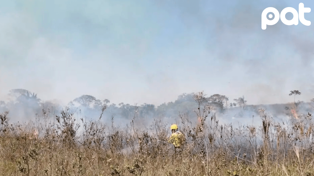 Dieciséis incendios activos afectan a ocho municipios de Santa Cruz