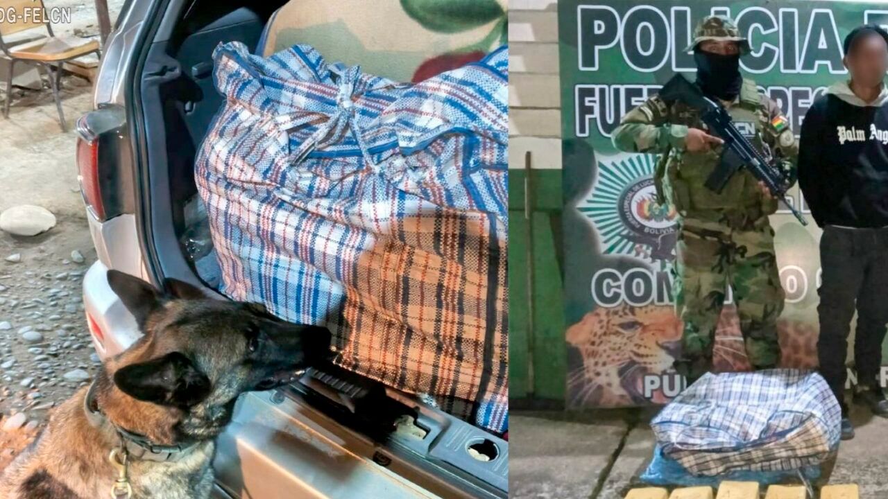 Perro policial detecta marihuana en trufi y detienen a dos personas en Entre Ríos