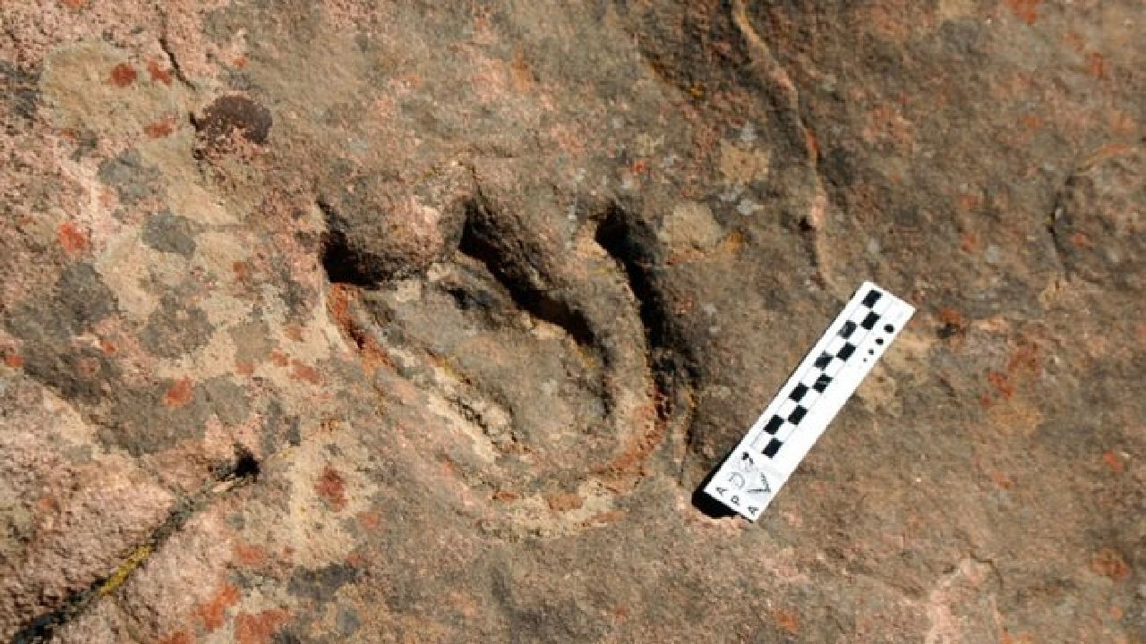 Encuentran huellas de dinosaurio en Tarija