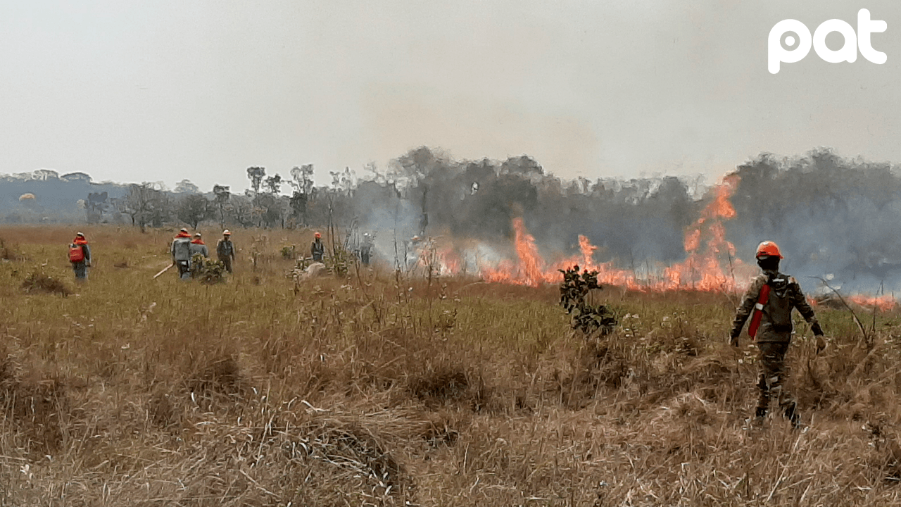 Refuerzan patrullaje aéreo y terrestre contra incendio que amenaza asaí