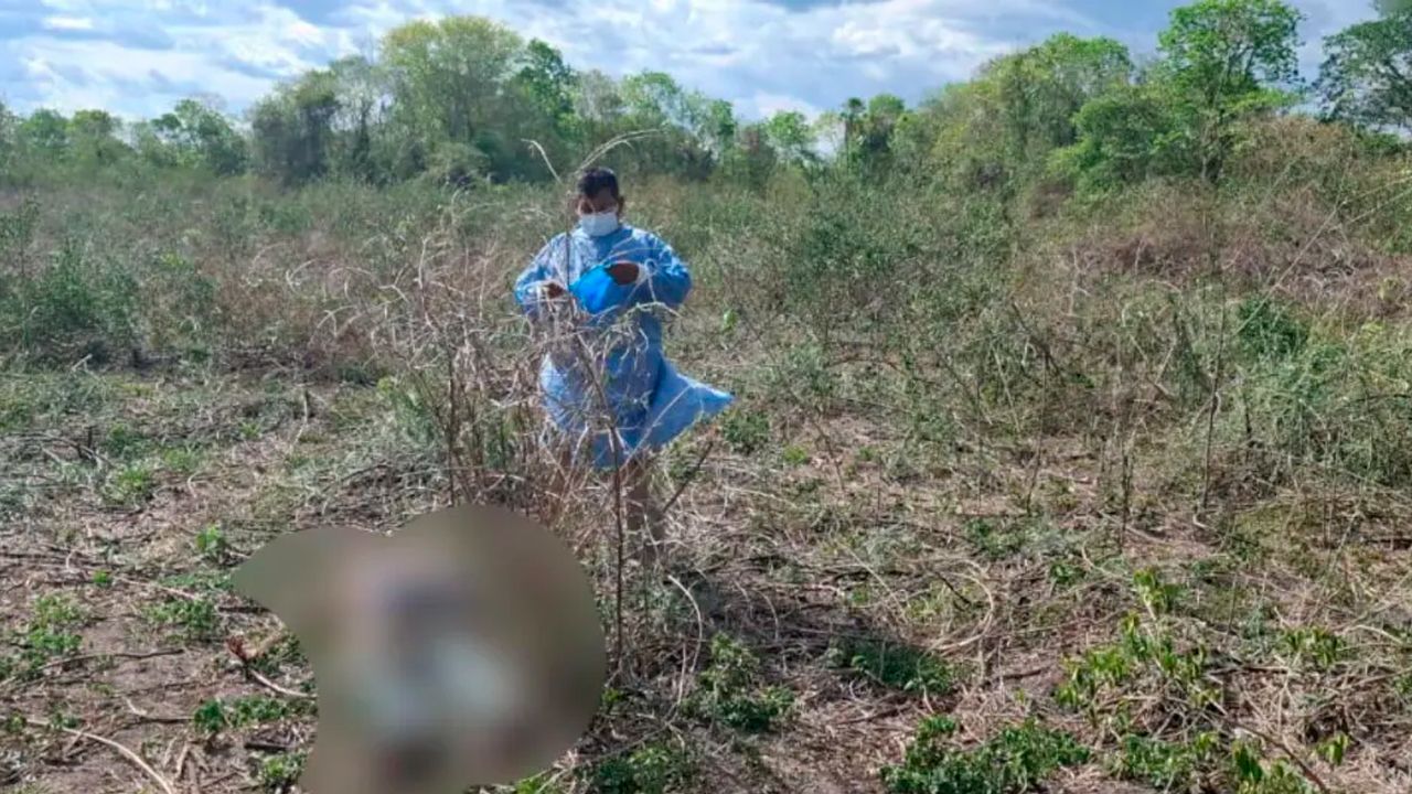 Hombre es hallado sin vida con impactos de bala en San Matías