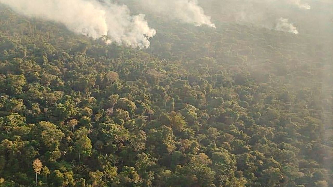Nueve incendios forestales continúan activos en Santa Cruz y más de 229 mil hectáreas fueron afectadas