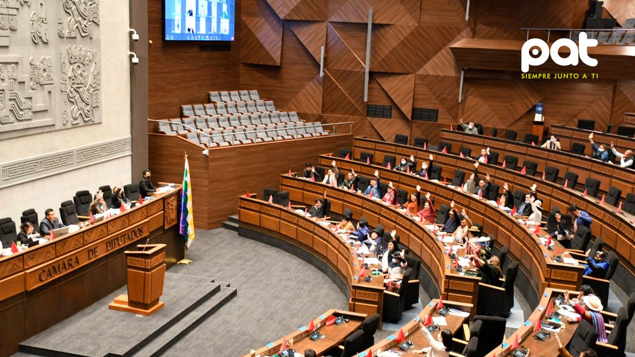 Diputados aprueban ley que regula el ejercicio profesional de los trabajadores sociales