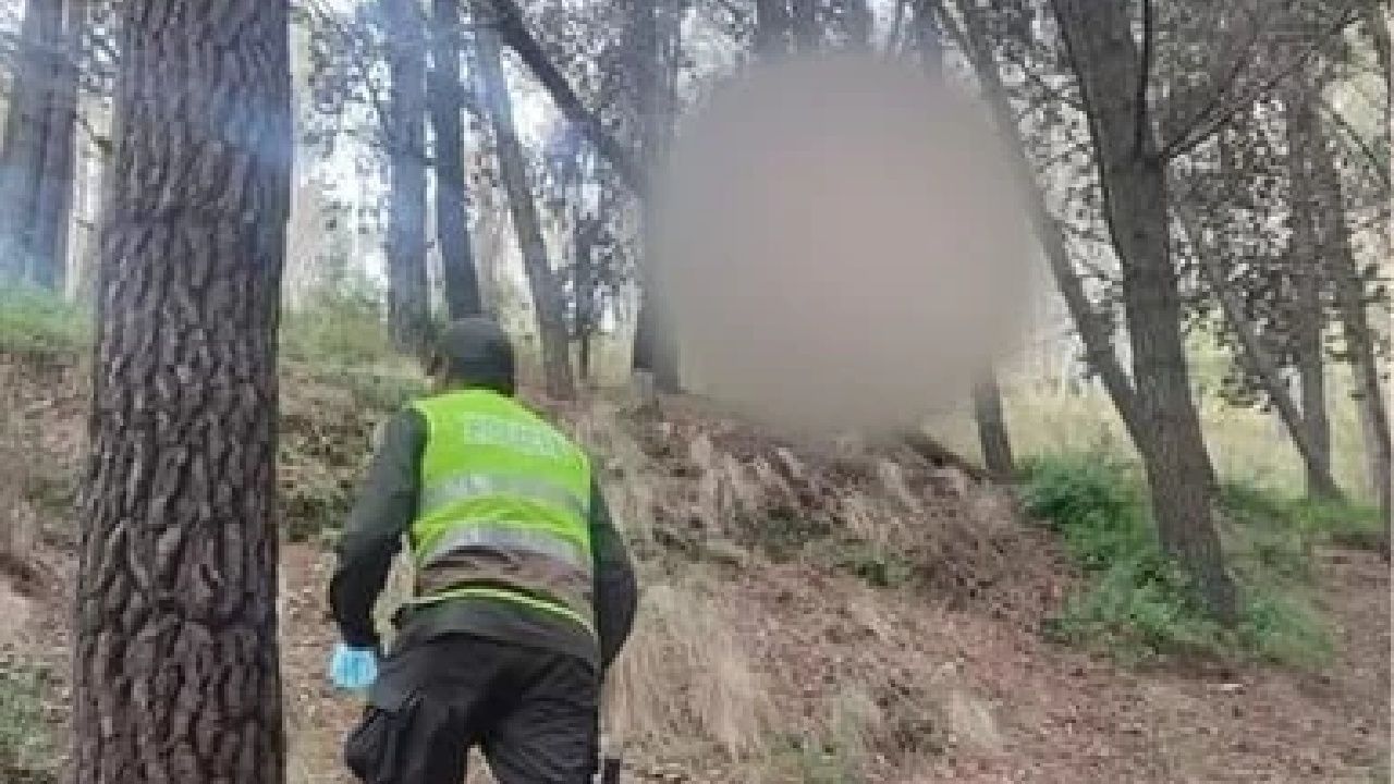 Pareja de jóvenes encontrados muertos en un bosque de la ciudad de la paz