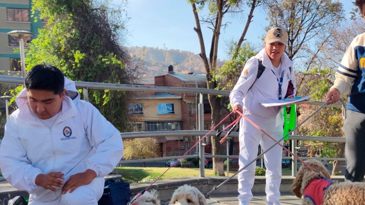Ministerio de Salud anuncia jornada nacional de vacunación antirrábica para perros y gatos