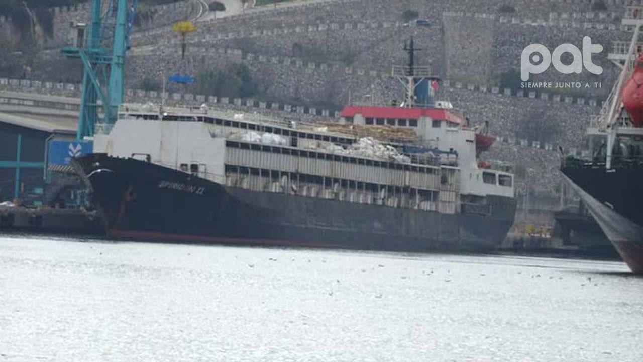 Buque con 2.900 vacas uruguayas llevan tres semanas retenidas por un bloqueo sanitario en Turquía