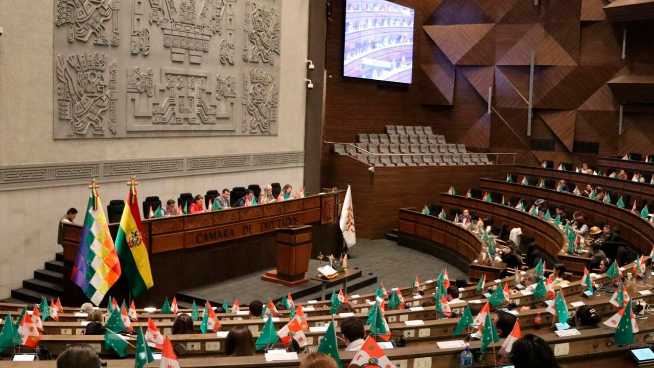Libre bloquea ley subnacional y genera tensión en Diputados