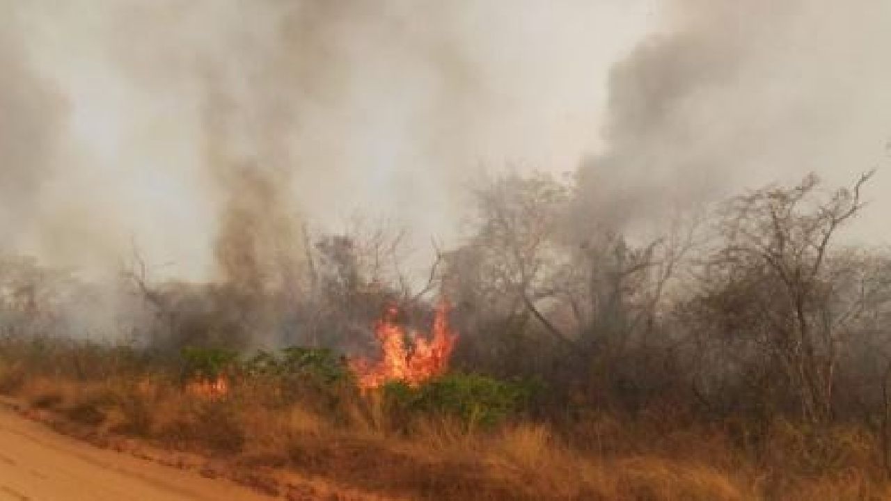 A partir del 1ro de Agosto, ABT prohíbe quemas controladas en Santa Cruz 