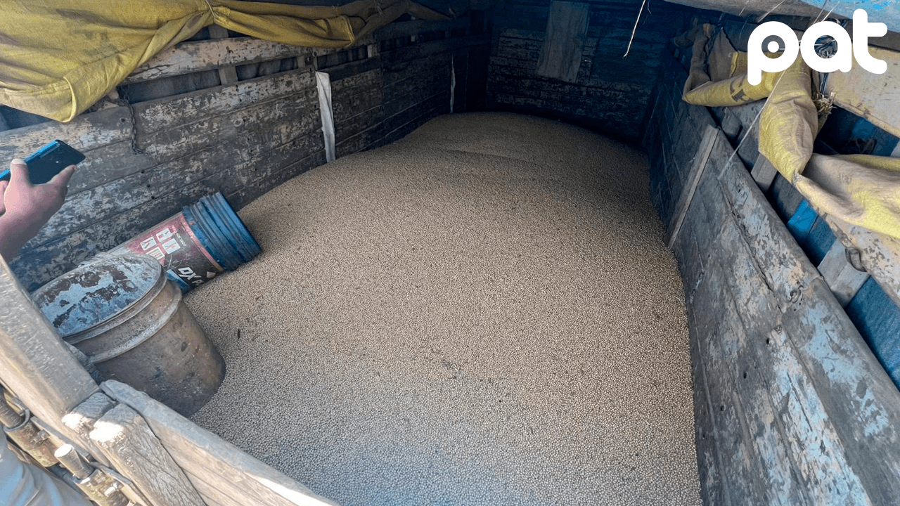 Anapo denuncia robo sistemático de soya en Santa Cruz y pide sanciones ejemplares