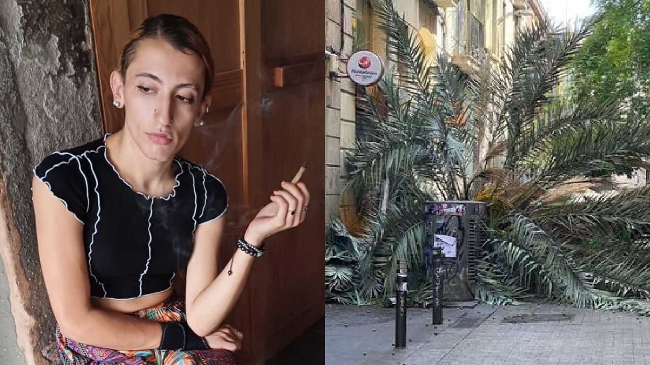 Muere chica trans de 20 años al caerle una palmera encima en el Raval de Barcelona